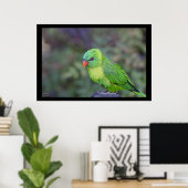 Green Lorikeet Poster (Thuiskantoor)