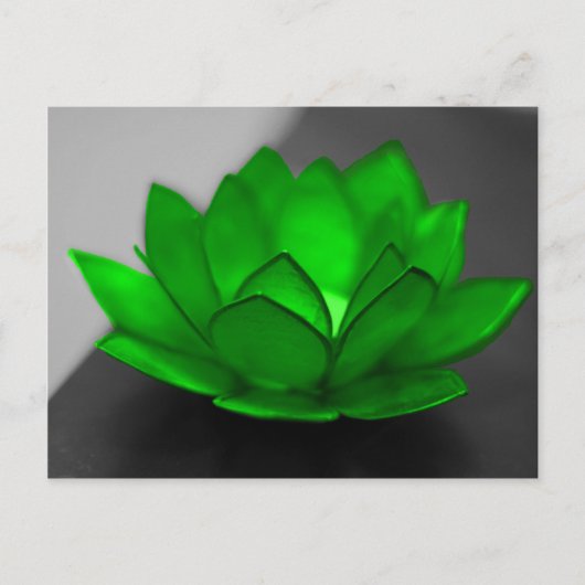 Green Lotus Briefkaart (Voorkant)