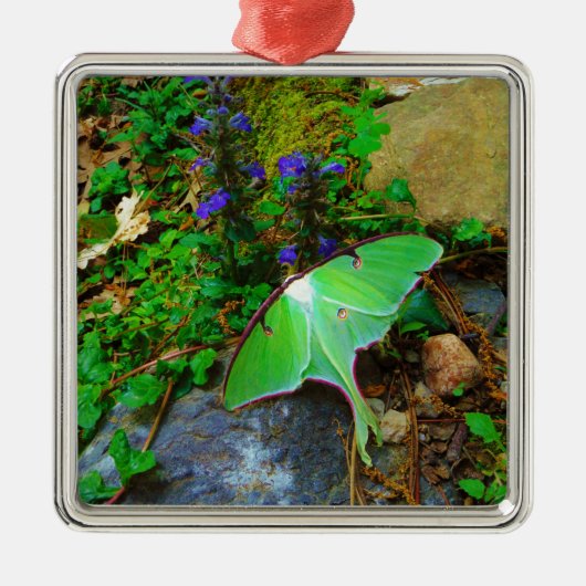 Green Luna moth Metalen Ornament (Voorkant)