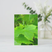 Green Maple Briefkaart (Staand voorkant)