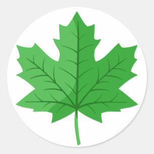 Green Maple Leaf Ronde Sticker