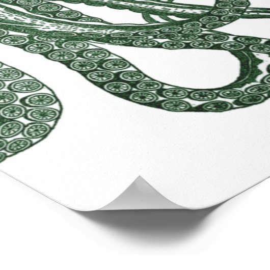 Green Modern Octopus Poster (Coin)