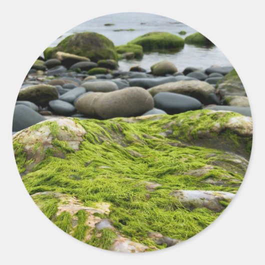 Green Moss Rocks Ronde Sticker (Voorkant)