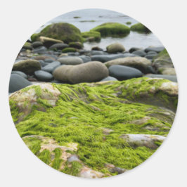 Green Moss Rocks Ronde Sticker