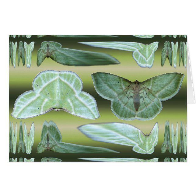 Green Moth ~-kaart (Voorkant Horizontaal)