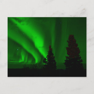 Green Northern Lights Briefkaart