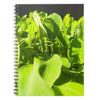 Green Oasis Notitieboek - Lush Green Planten Desig
