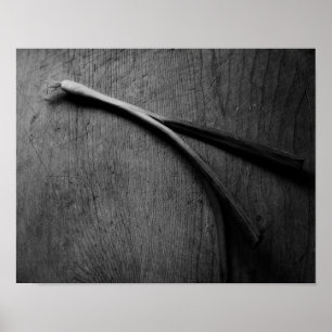 Green Onion stille levens Poster