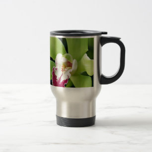 Green Orchid Reisbeker