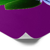 Green Pansy Print (Hoek)