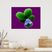 Green Pansy Print (Keuken)