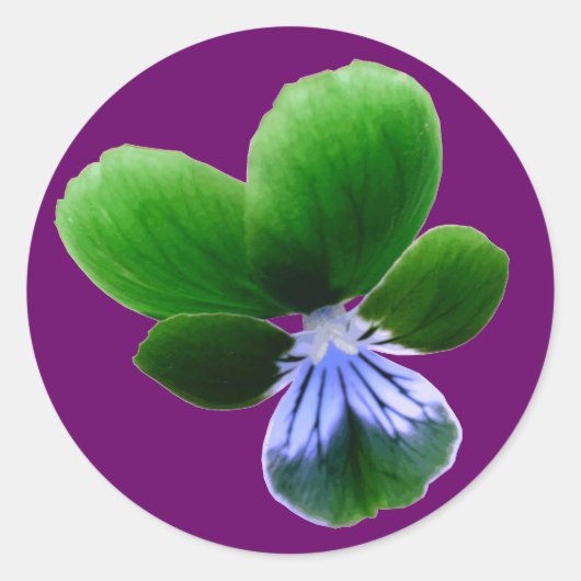 Green Pansy Sticker (Voorkant)