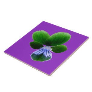 Green Pansy Tile Tegeltje
