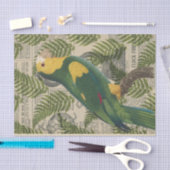 -Green-papegaai Tissuepapier (Craft)