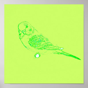 Green Parakeet Poster
