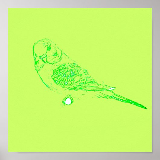 Green Parakeet Poster (Voorkant)