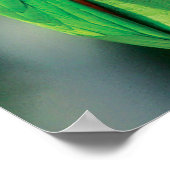 Green Parrot Bird Poster Print (Hoek)