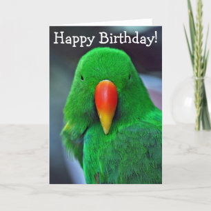 Green parrot birthday greeting card kaart