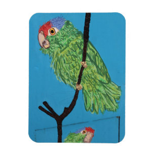 green parrot foto magnet magneet