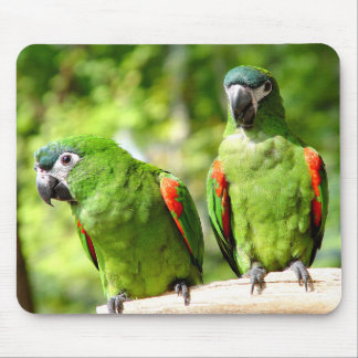 Green Parrot Mousepad 2 Muismat