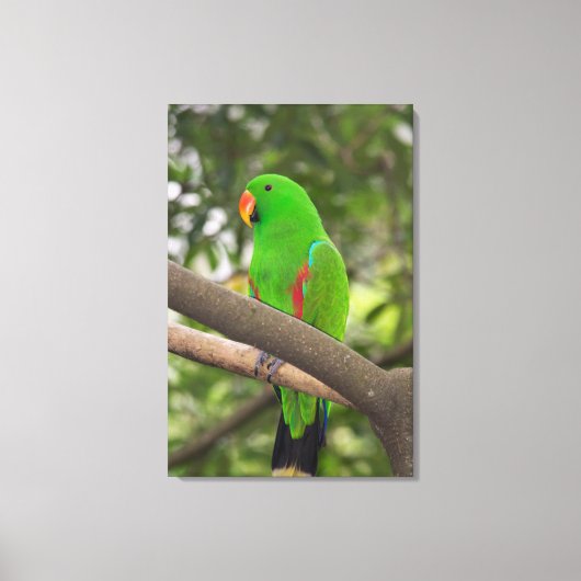 Green Parrot Portrait Canvas Afdruk (Voorkant)