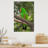 Green Parrot Portrait Poster (Keuken)