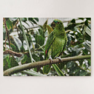 green parrot puzzel