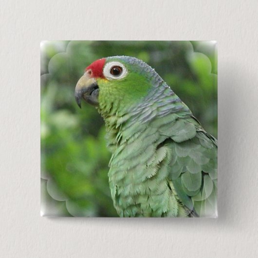 Green Parrot Square Pin Vierkante Button 5,1 Cm (Voorkant)