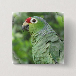 Green Parrot Square Pin Vierkante Button 5,1 Cm