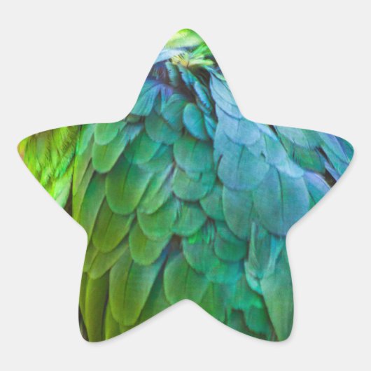 Green Parrot Ster Sticker (Voorkant)