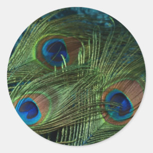 Green Peacock Feather Ronde Sticker
