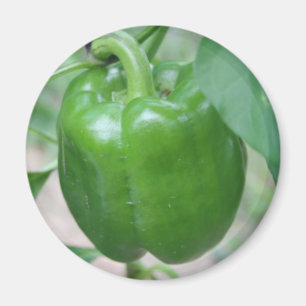 Green Pepper Magnet Magneet