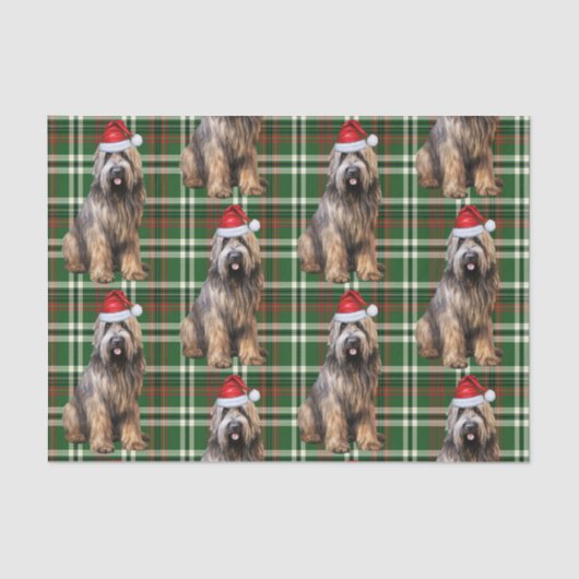 Green Plaid Briard Shepherd Hondenliefhebber Vakan Tissuepapier (Voorkant)