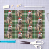 Green Plaid Briard Shepherd Hondenliefhebber Vakan Tissuepapier (Craft)