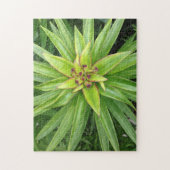 Green Pointed-Leaf Plant Puzzle door Darin Jones Legpuzzel (Verticaal)