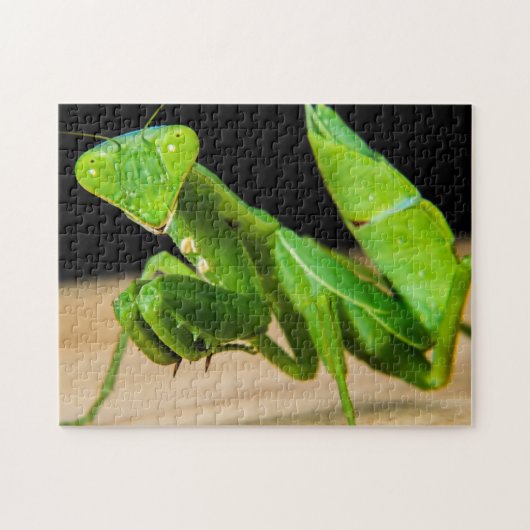 Green Praying Mantis Close-up Photo Puzzle Legpuzzel (Horizontaal)