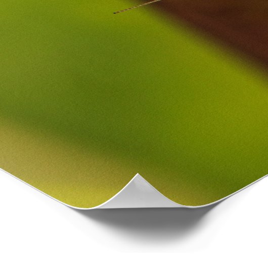 Green Praying Mantis Macro Photography Wall Art Poster (Hoek)