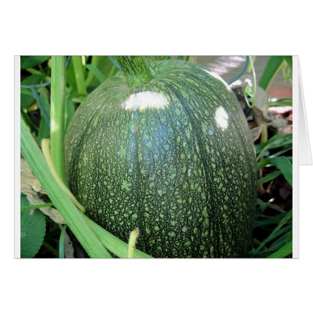 Green Pumpkin (Voorkant Horizontaal)