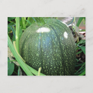Green Pumpkin Briefkaart