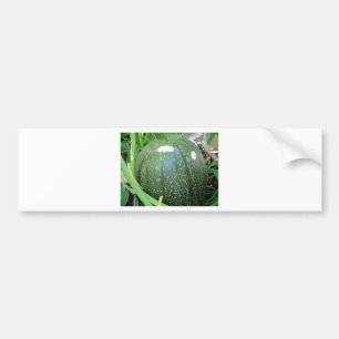 Green Pumpkin Bumpersticker