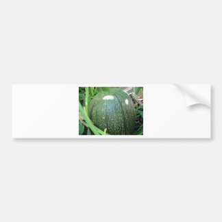 Green Pumpkin Bumpersticker