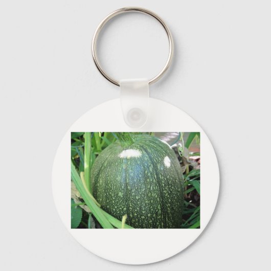 Green Pumpkin Sleutelhanger (Voorkant)