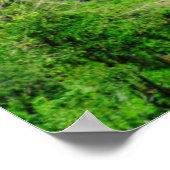 Green Rice terraces, Filipijnen Poster (Hoek)