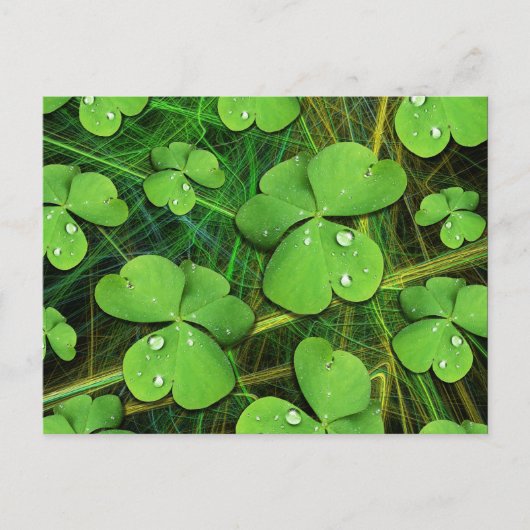 Green Shamrock St Patrick's Day Briefkaart (Voorkant)