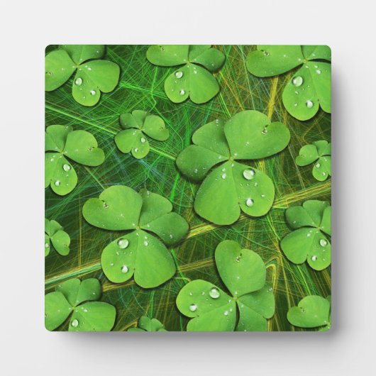 Green Shamrock St Patrick's iPhone 5 Hoesje-Mate Fotoplaat (Voorkant)