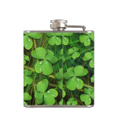 Green Shamrock St Patrick's iPhone 5 Hoesje-Mate Heupfles (Achterkant)
