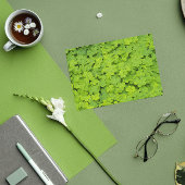 Green Shamrocks Floral St Patrick's Day Kaart