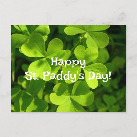 Green Shamrocks, St. Paddy's Day Briefkaart (Voorkant)