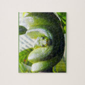 Green Snake Puzzle Legpuzzel (Verticaal)