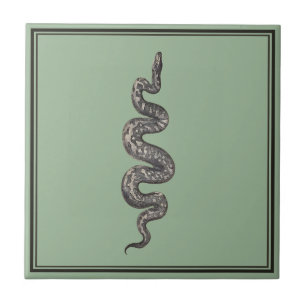 Green Snake Tegeltje